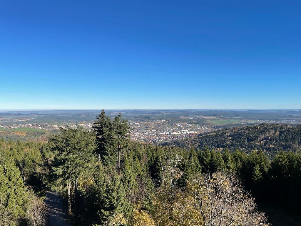 Natur Wald Stadt von oben